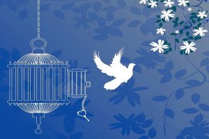 آزادی زندانیان مالی در تبریز